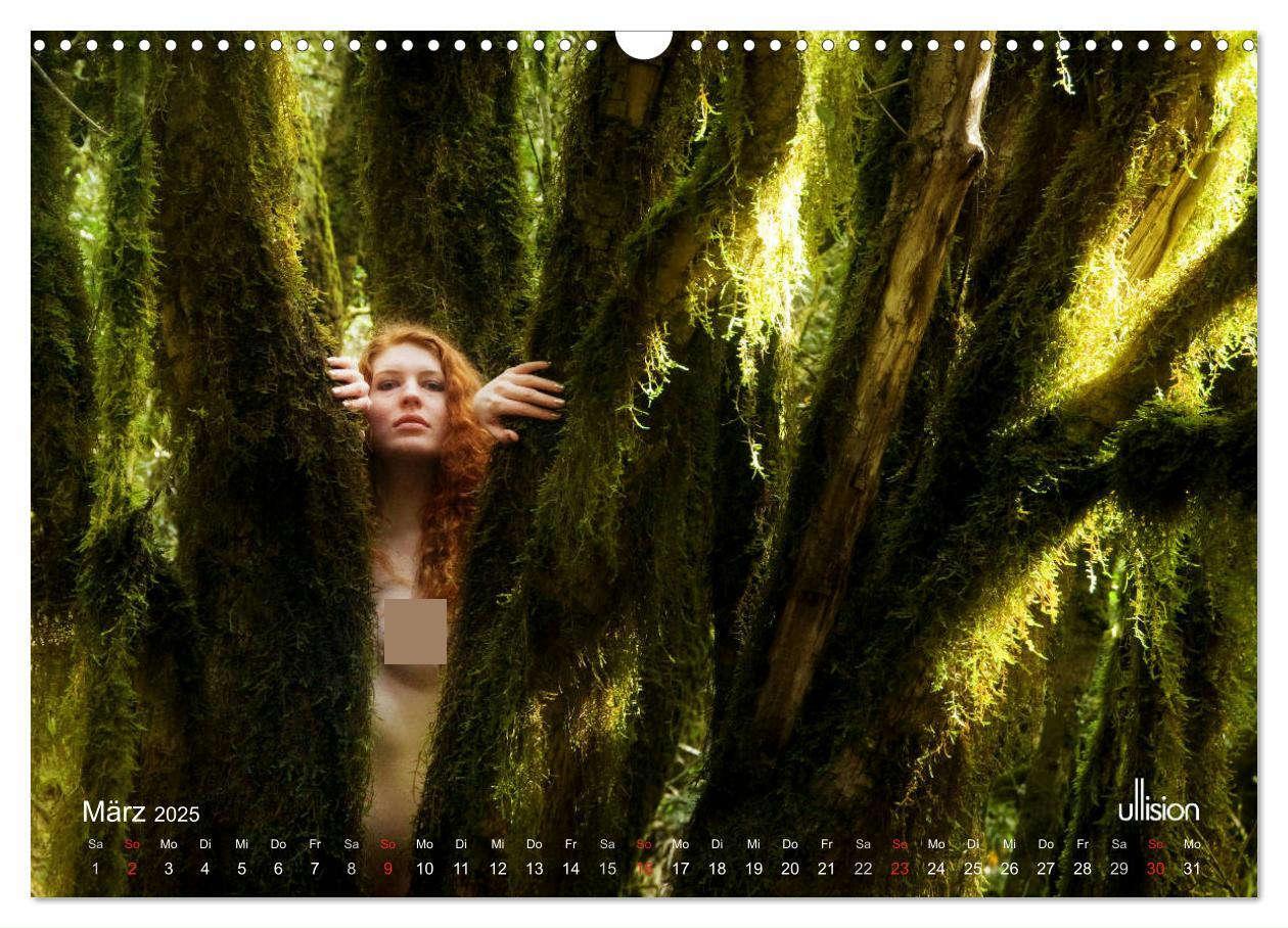 Bild: 9783435337491 | ZAUBERWALD Mystik der Natur (Wandkalender 2025 DIN A3 quer),...