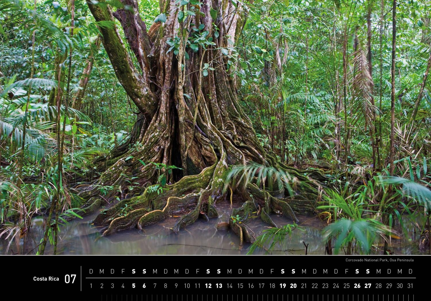 Bild: 9783968555362 | 360° Costa Rica Premiumkalender 2025 | Holger Leue | Kalender | 13 S.