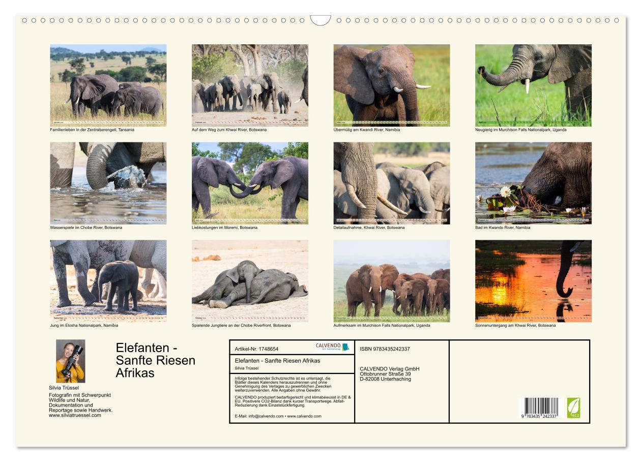 Bild: 9783435242337 | Elefanten - Sanfte Riesen Afrikas (Wandkalender 2025 DIN A2 quer),...