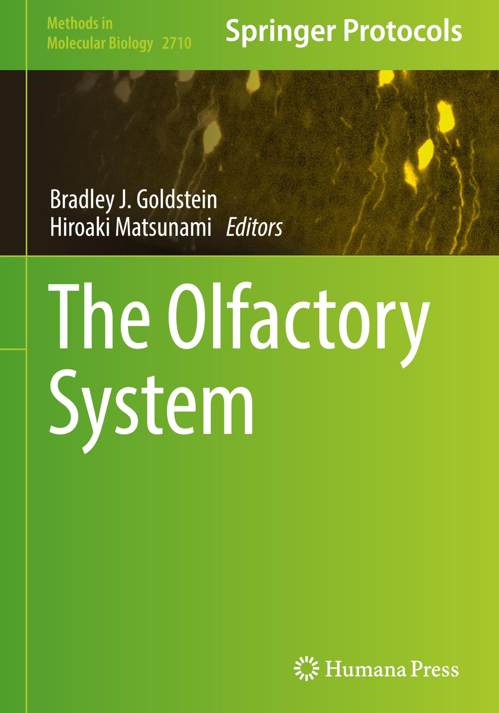 Cover: 9781071634240 | The Olfactory System | Hiroaki Matsunami (u. a.) | Buch | xi | 2023