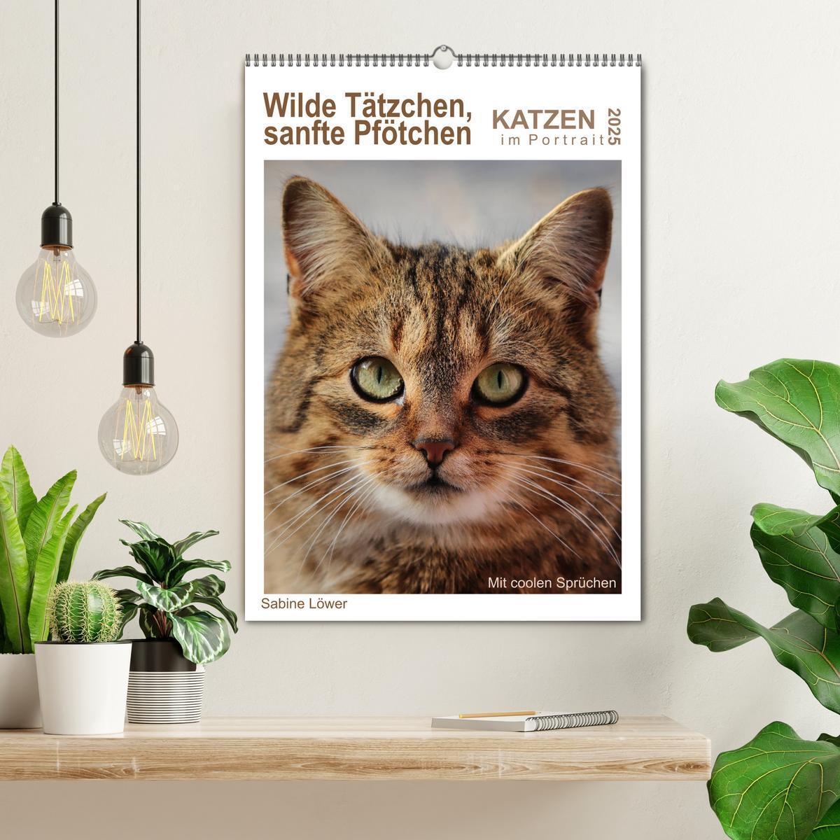 Bild: 9783435967025 | Wilde Tätzchen, sanfte Pfötchen (Wandkalender 2025 DIN A2 hoch),...