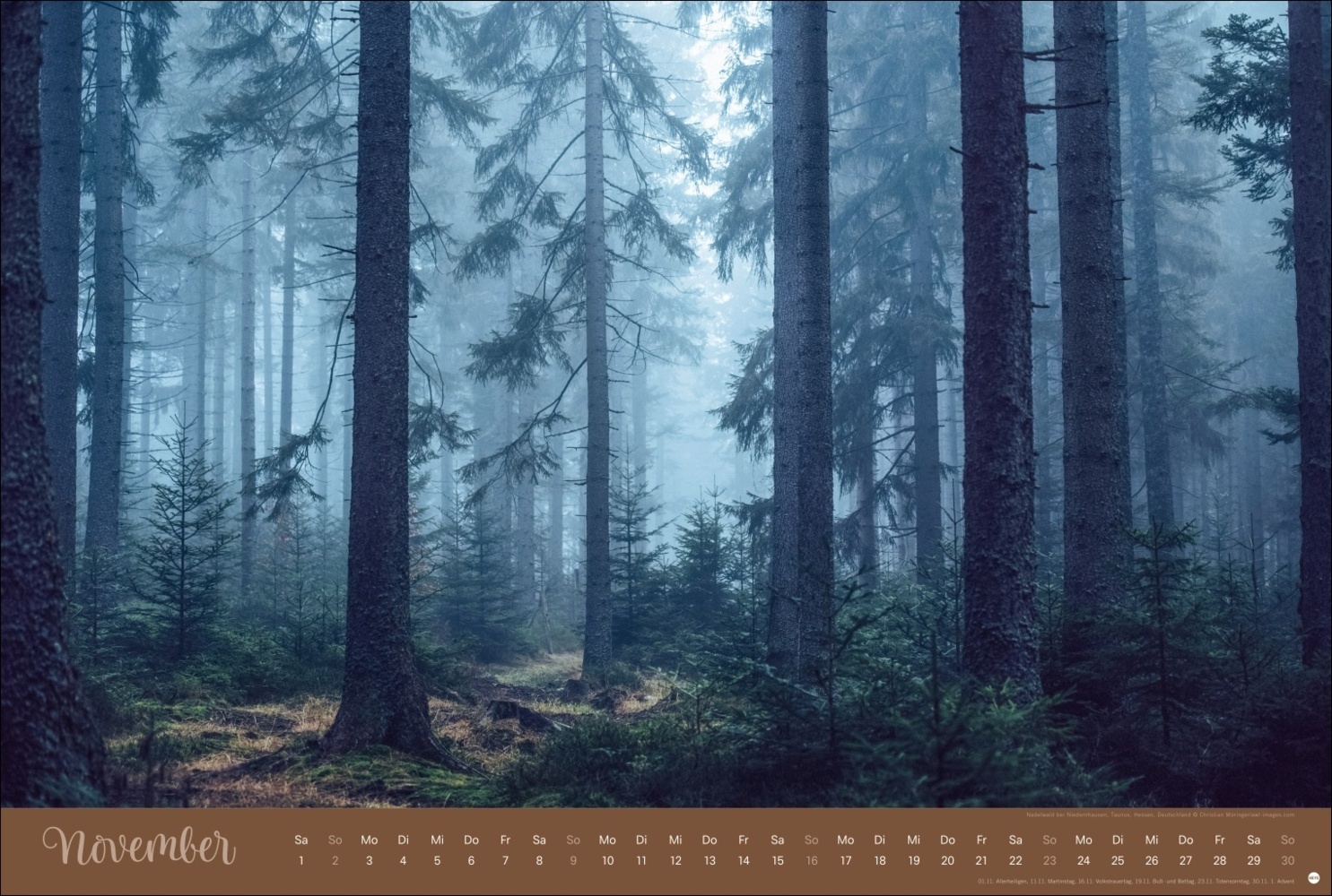 Bild: 9783756404759 | Zauberwälder Edition Kalender 2025 | Kalender | Spiralbindung | 15 S.