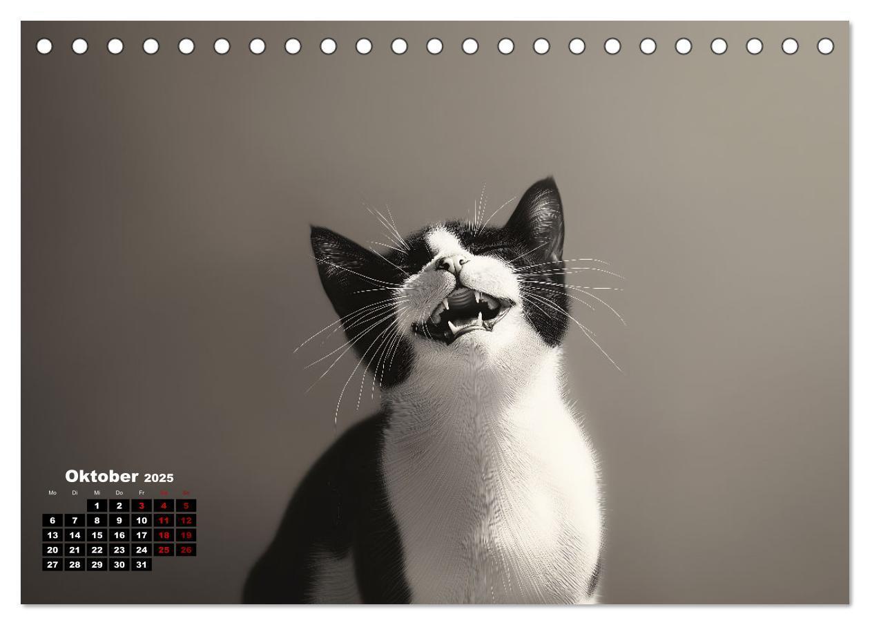 Bild: 9783457202074 | Auch Katzen lachen gern (Tischkalender 2025 DIN A5 quer), CALVENDO...