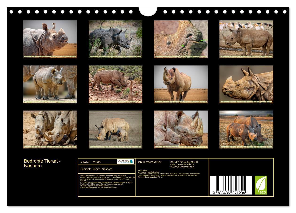 Bild: 9783435371204 | Bedrohte Tierart - Nashorn (Wandkalender 2025 DIN A4 quer),...