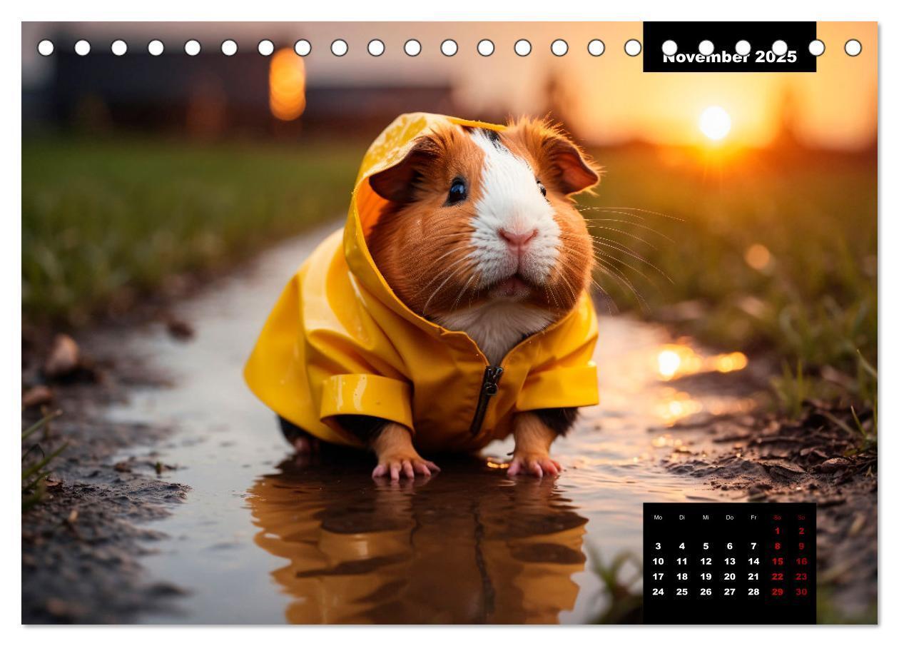 Bild: 9783435013135 | Meerschweinchen mal anders! (Tischkalender 2025 DIN A5 quer),...