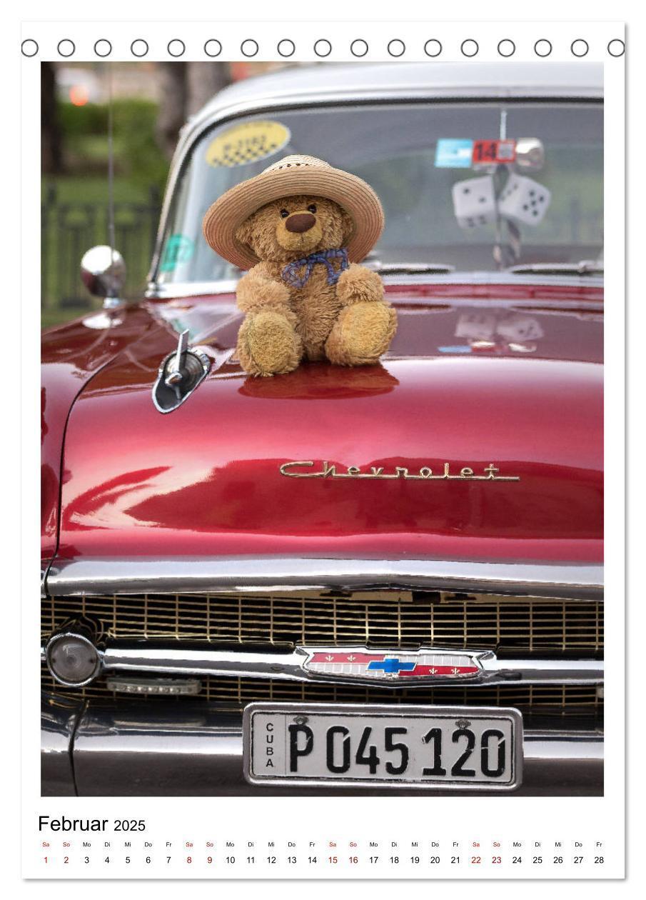 Bild: 9783435984435 | Travelling Teddy Kuba Edition 2025 (Tischkalender 2025 DIN A5...