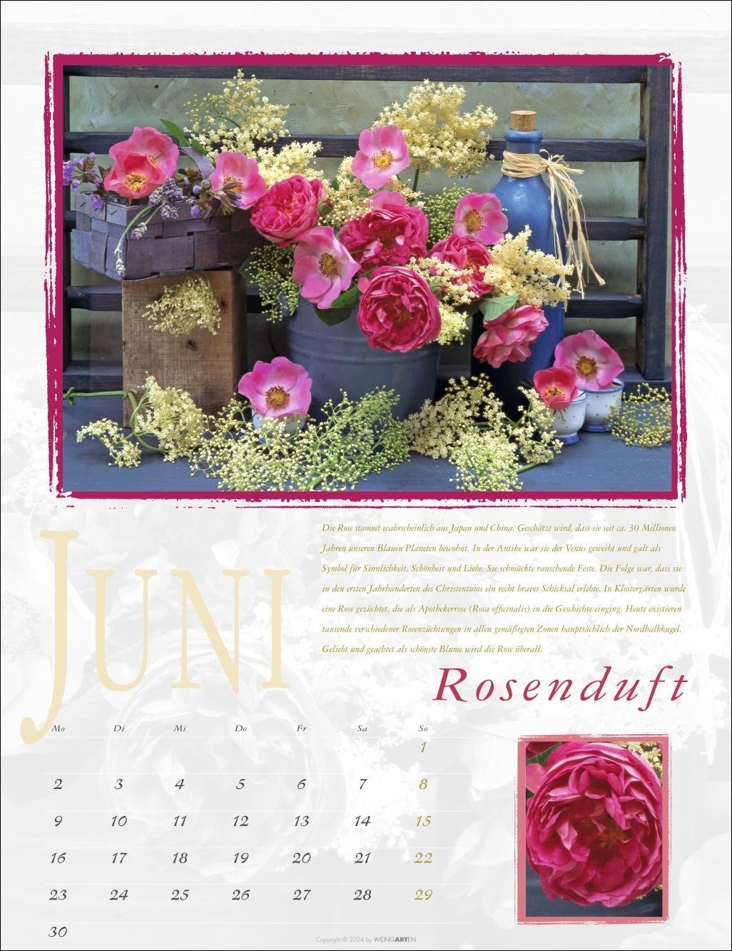 Bild: 9783839901373 | Duftkalender 2025 | Kalender | Spiralbindung | 14 S. | Deutsch | 2025