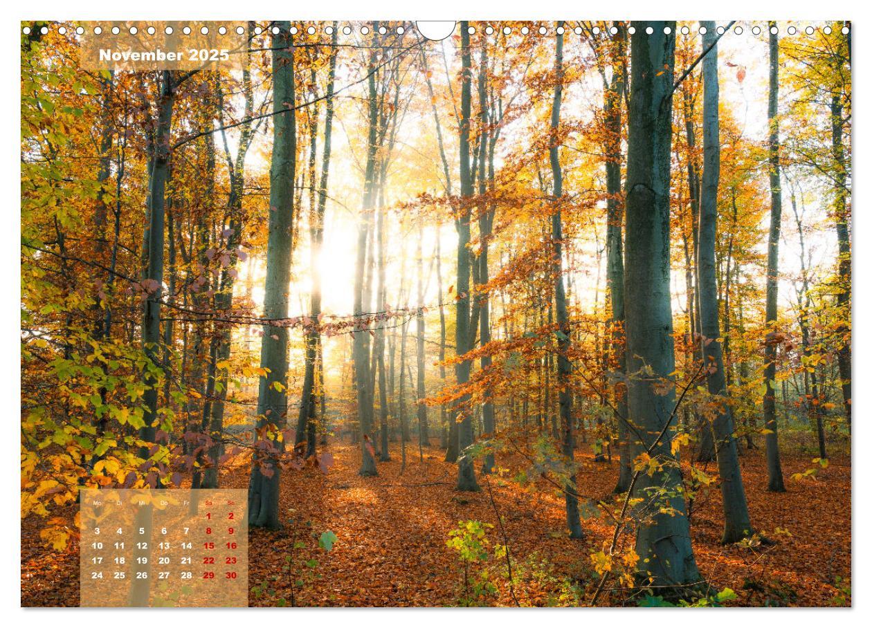 Bild: 9783383866937 | Ein Jahr Niederrhein Momente der Natur (Wandkalender 2025 DIN A3...