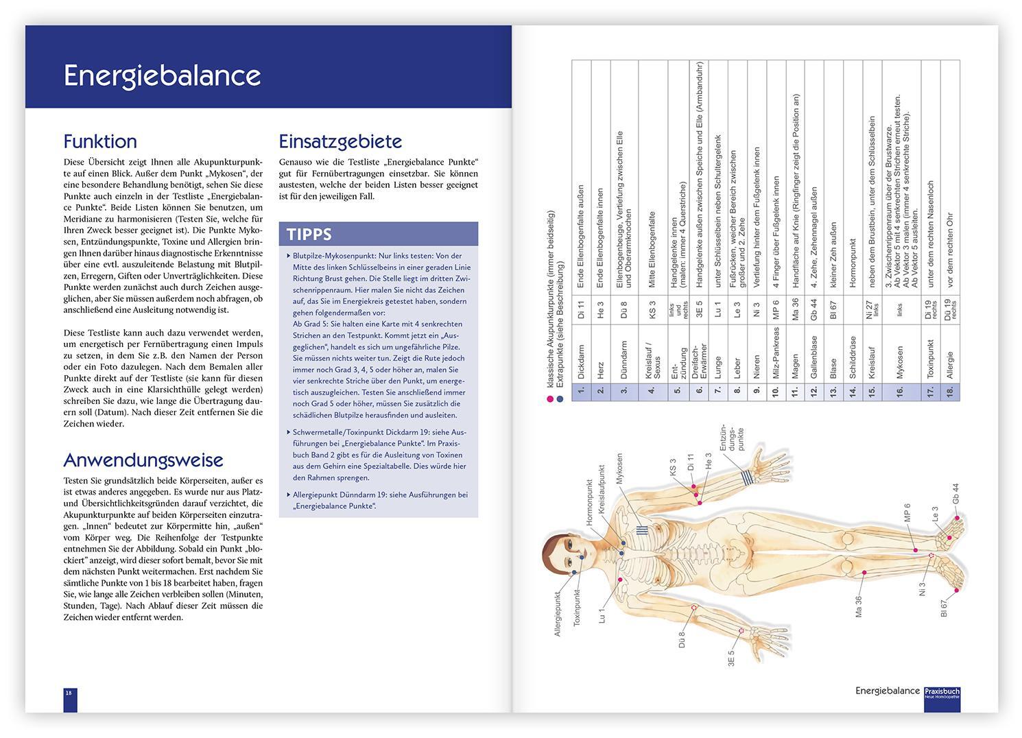 Bild: 9783863741068 | Praxisbuch Neue Homöopathie | Christina Baumann (u. a.) | Taschenbuch