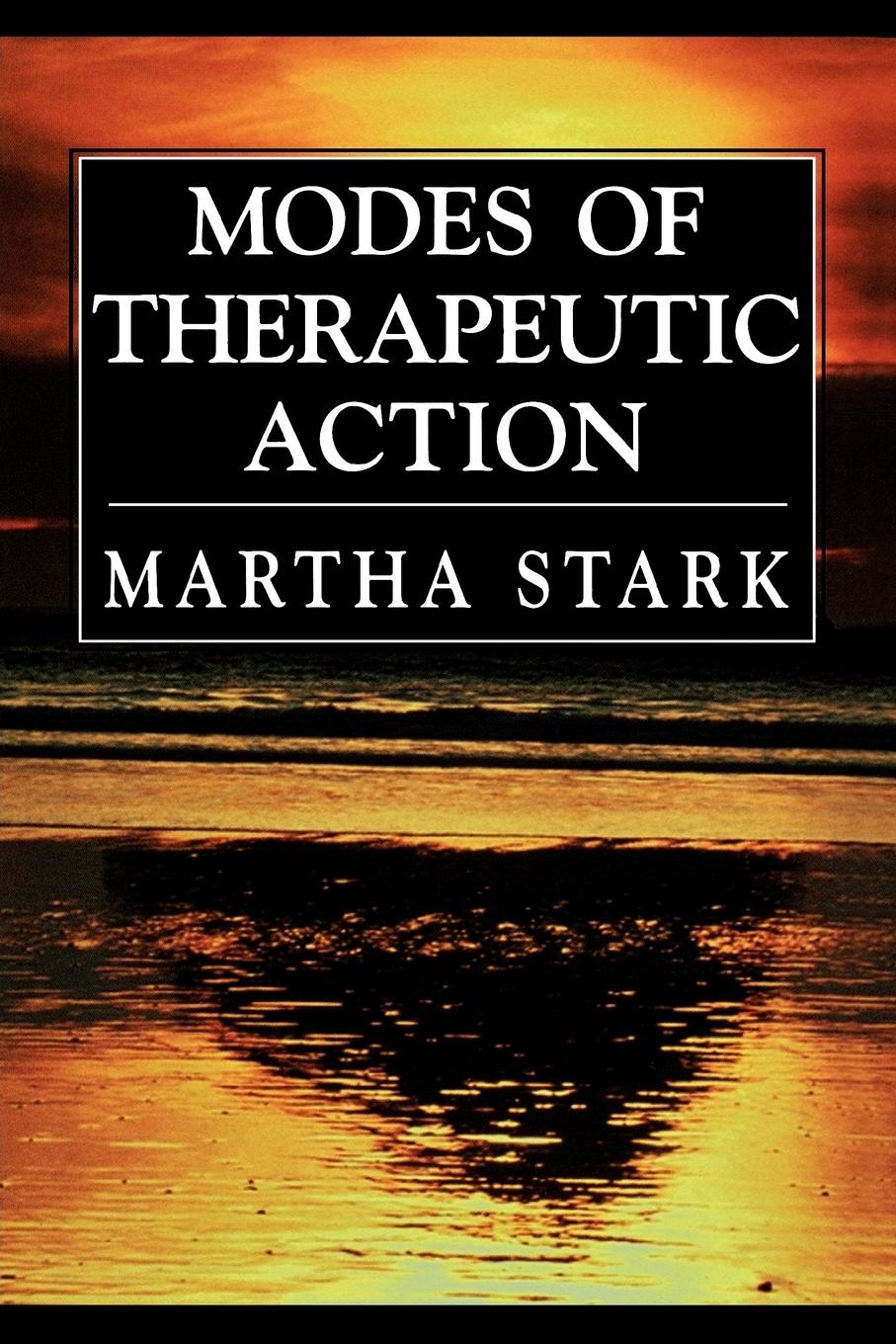 Cover: 9780765702500 | Modes of Therapeutic Action | Martha Stark | Taschenbuch | Englisch