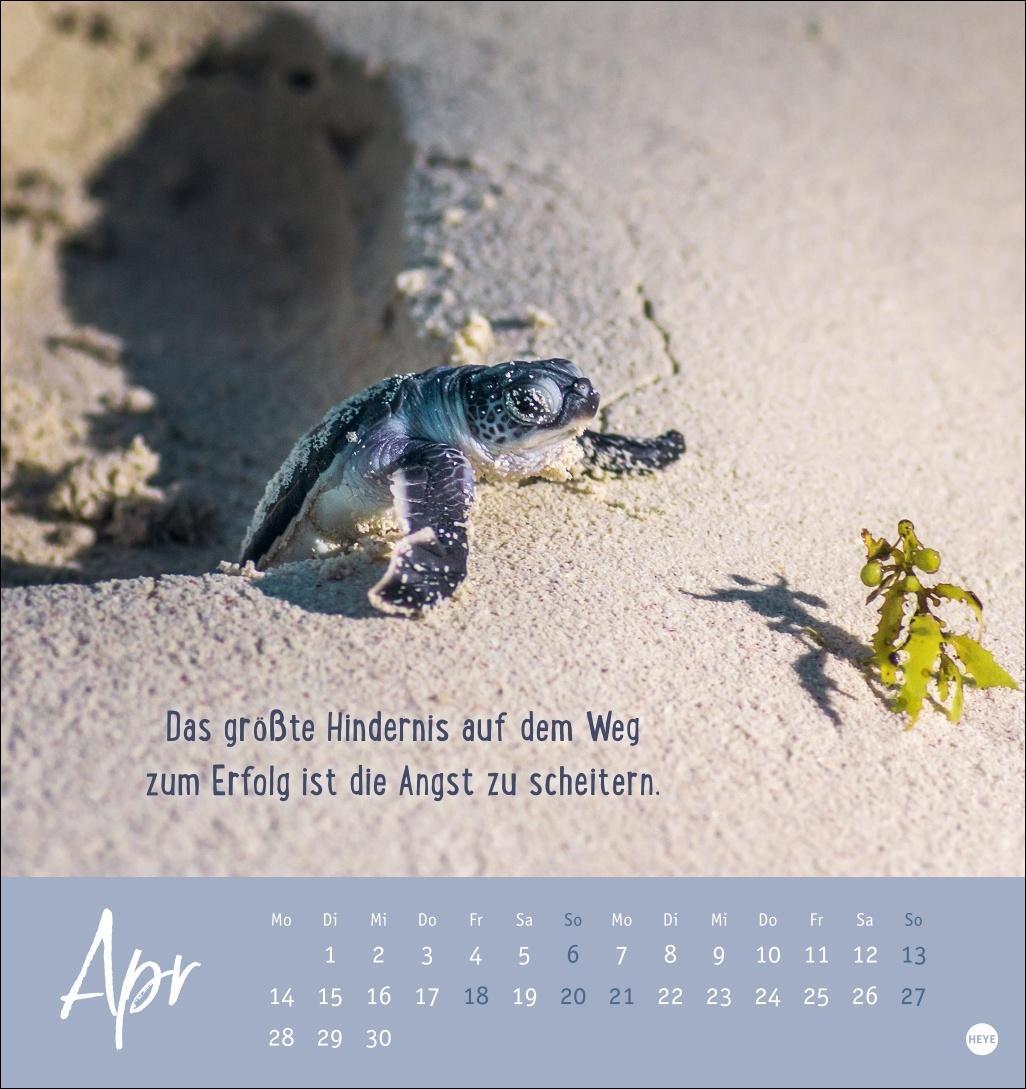 Bild: 9783756407132 | Never give up! Postkartenkalender 2025 | Heye | Kalender | 13 S.