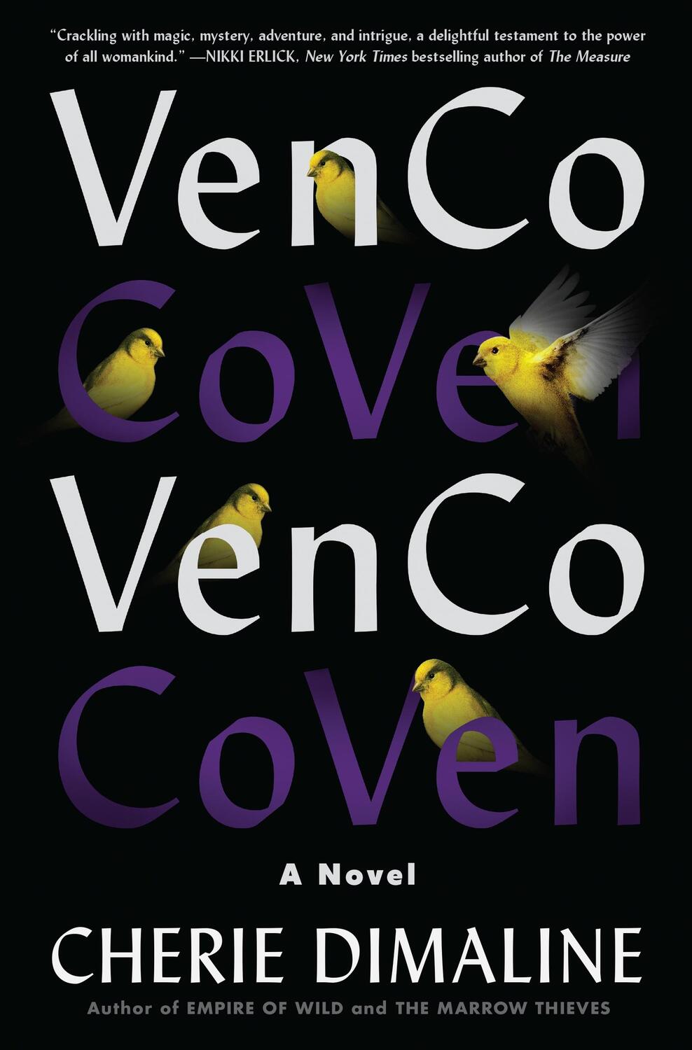 Cover: 9780063054899 | VenCo | A Novel | Cherie Dimaline | Buch | Englisch | 2023