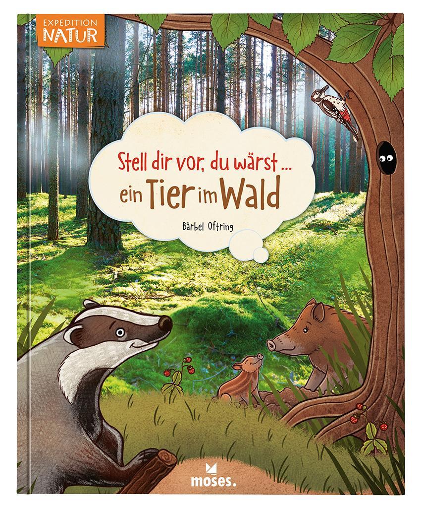 Cover: 9783897774605 | Stell dir vor, du wärst...ein Tier im Wald | B. Oftring | Buch | 2019