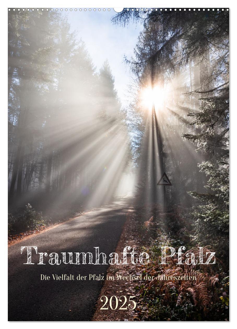 Cover: 9783435896240 | Traumhafte Pfalz (Wandkalender 2025 DIN A2 hoch), CALVENDO...