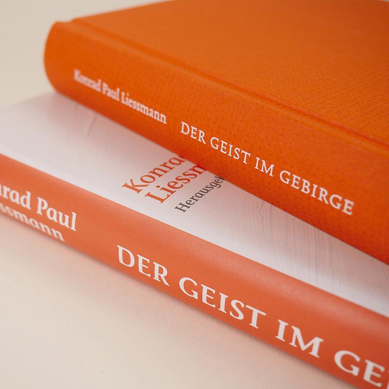 Bild: 9783552073104 | Der Geist im Gebirge | Konrad Paul Liessmann | Buch | 320 S. | Deutsch