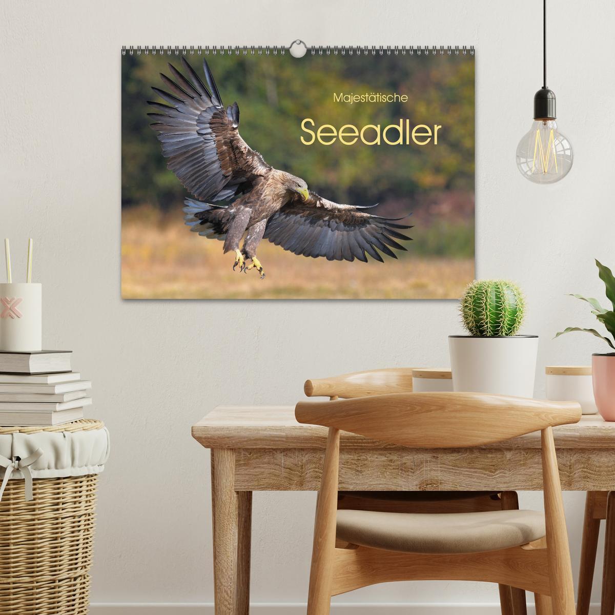 Bild: 9783435230396 | Majestätische Seeadler (Wandkalender 2025 DIN A3 quer), CALVENDO...