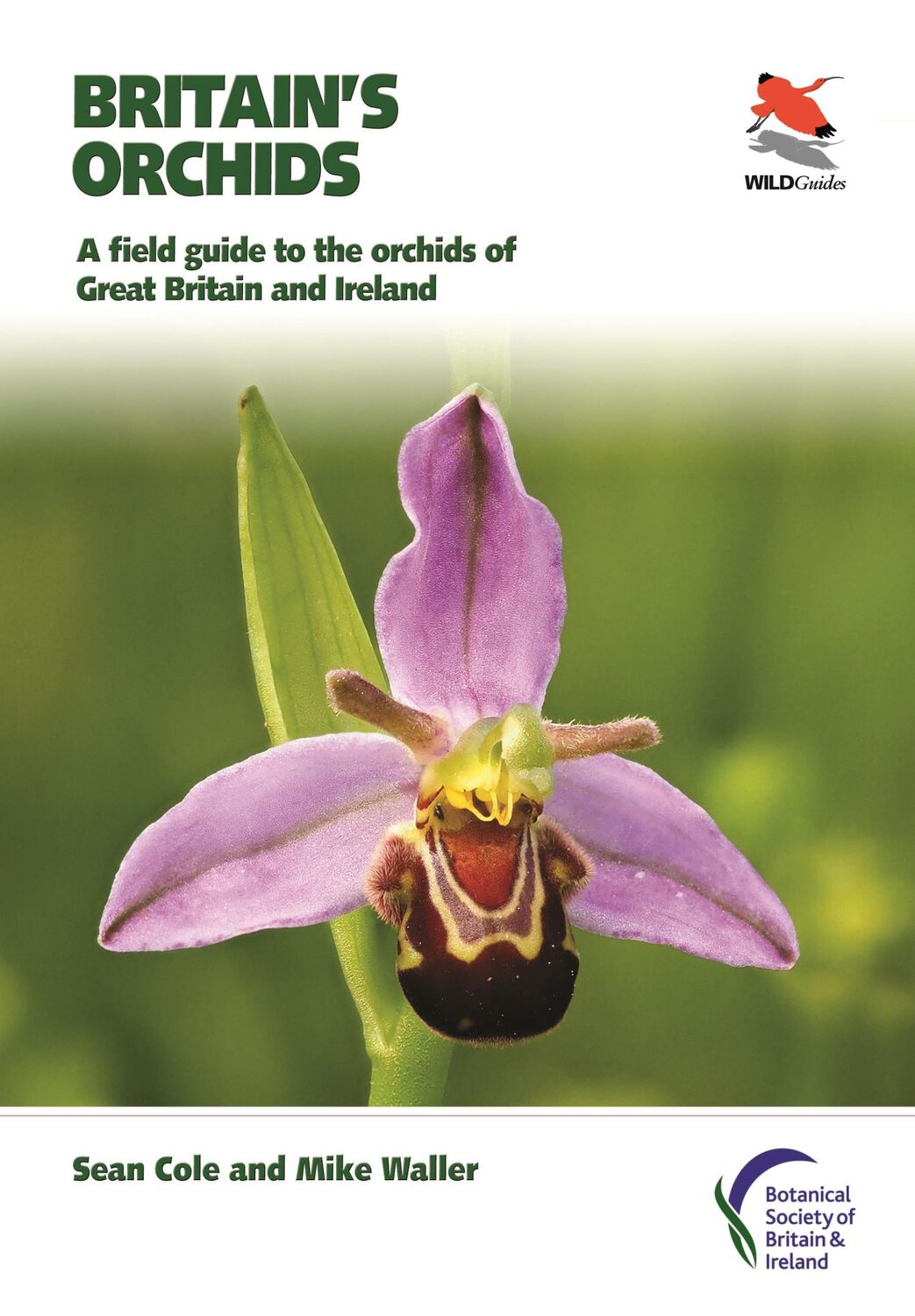 Cover: 9780691177618 | Britain's Orchids | Sean Cole (u. a.) | Taschenbuch | Englisch | 2020