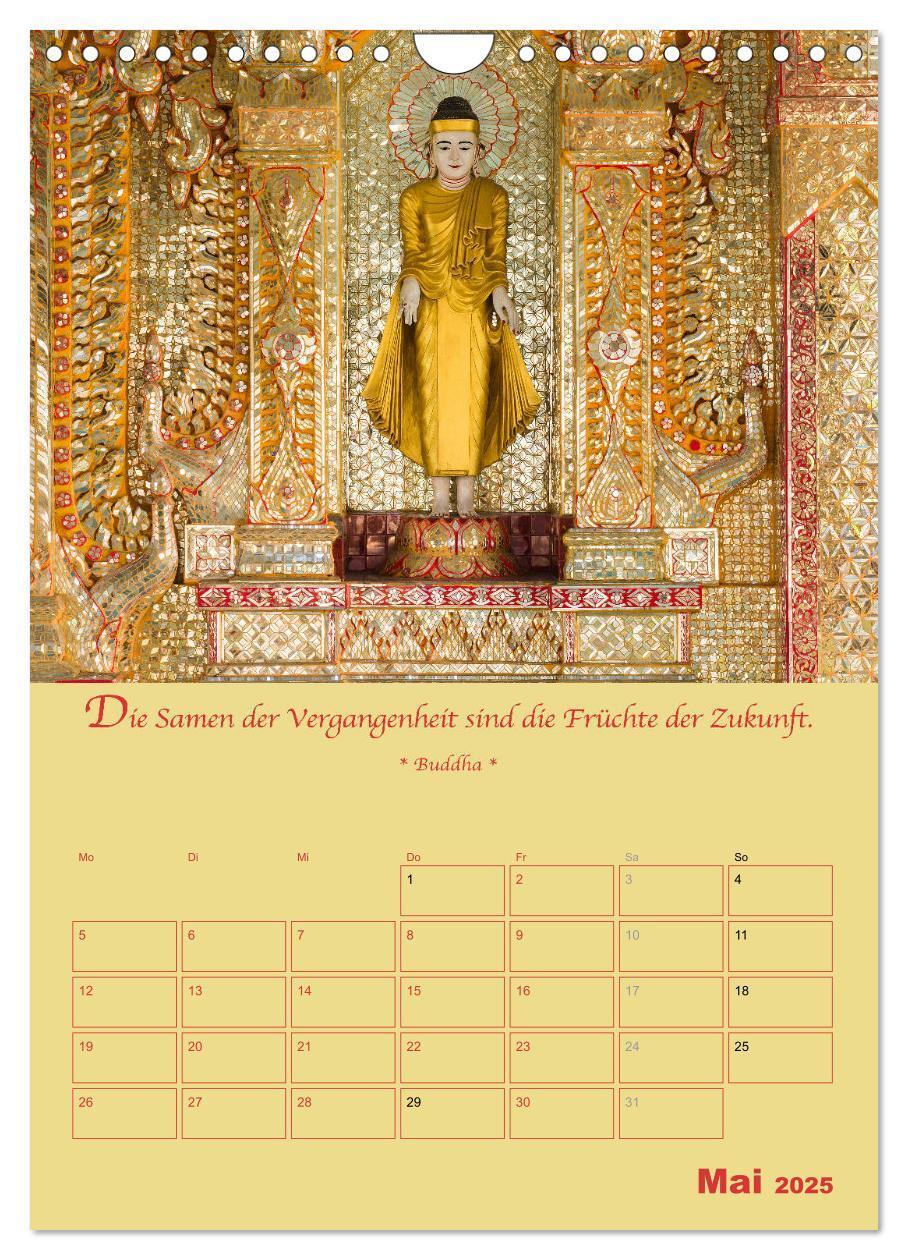 Bild: 9783435928484 | BUDDHA IN GOLD - Mit buddhistischen Sprüchen (Wandkalender 2025 DIN...