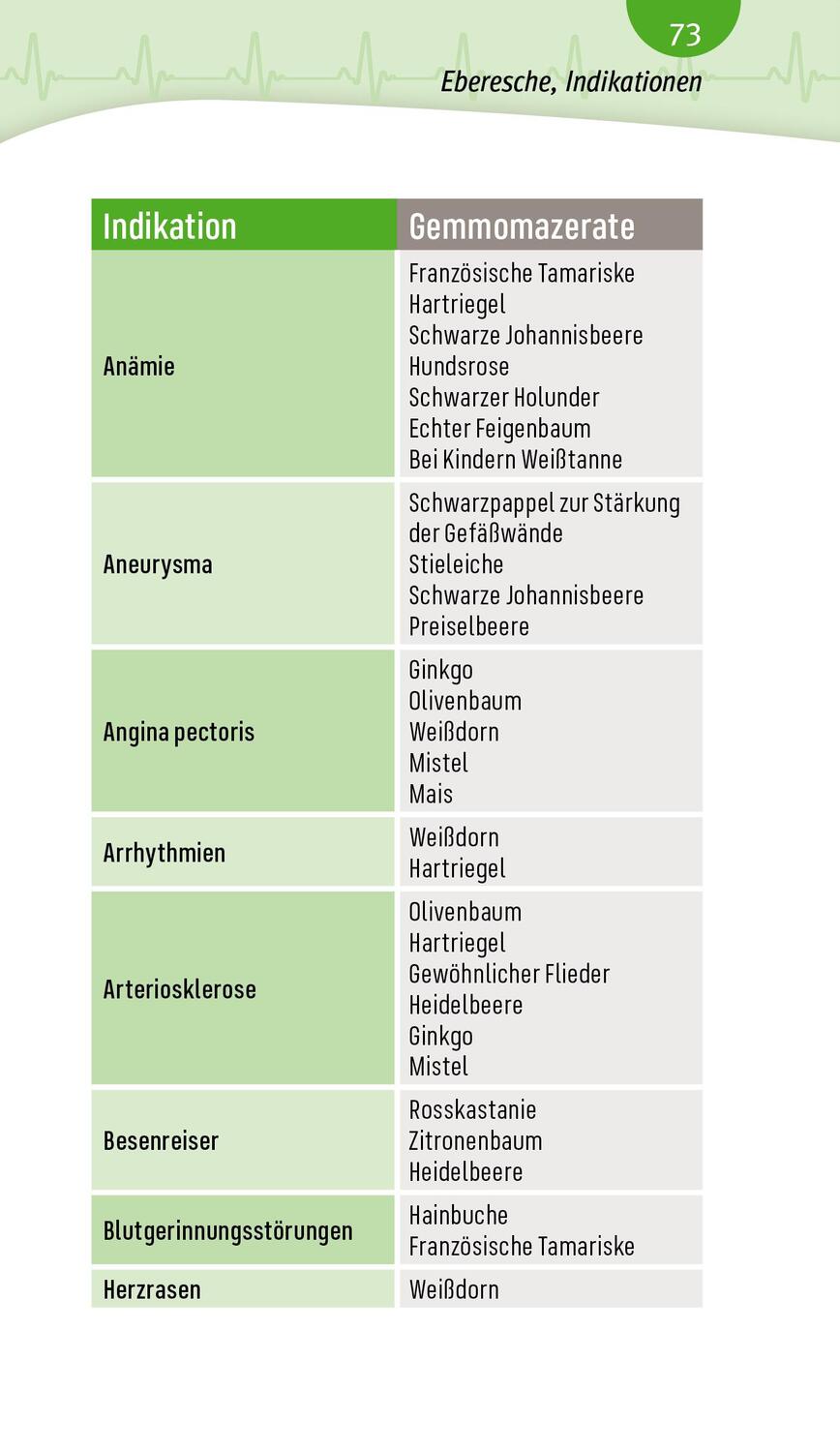 Bild: 9783945181317 | Blutdruck | Herz, Kreislauf und Gefäße | Andreas Nieswandt | Buch