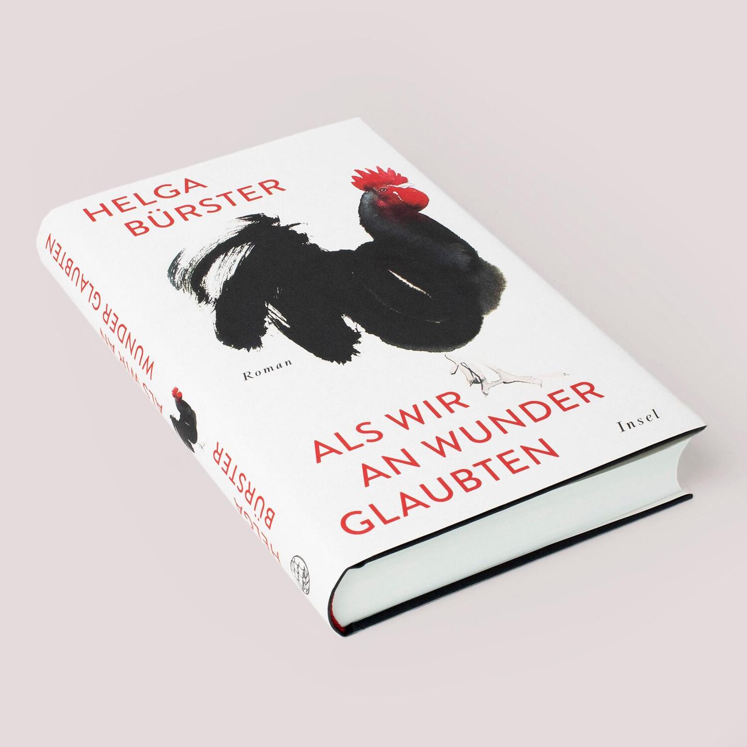 Bild: 9783458643883 | Als wir an Wunder glaubten | Roman | Helga Bürster | Buch | 285 S.