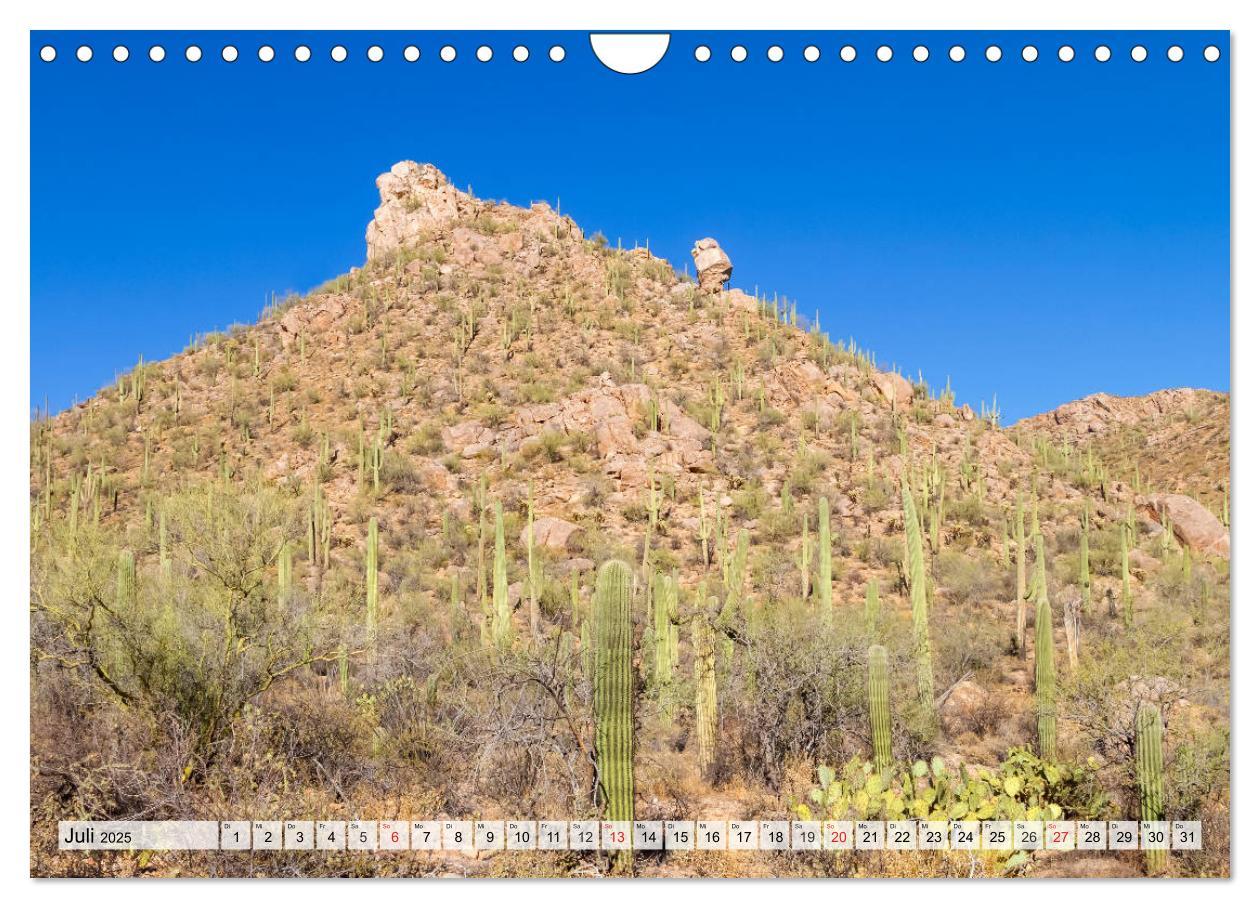 Bild: 9783435203079 | SAGUARO NATIONAL PARK Heimat des Saguaro-Kaktus (Wandkalender 2025...