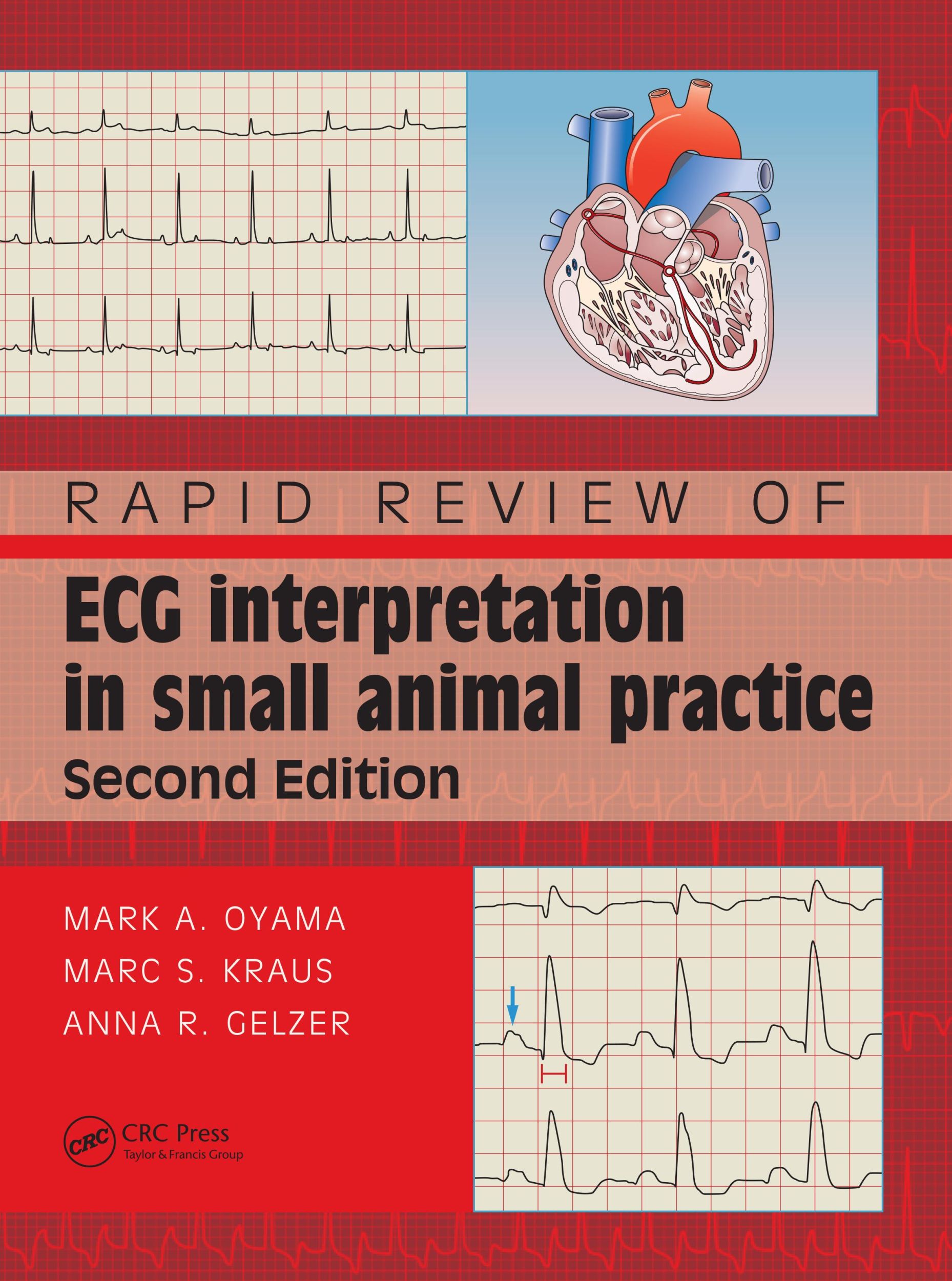 Cover: 9780367146757 | Rapid Review of ECG Interpretation in Small Animal Practice | Buch