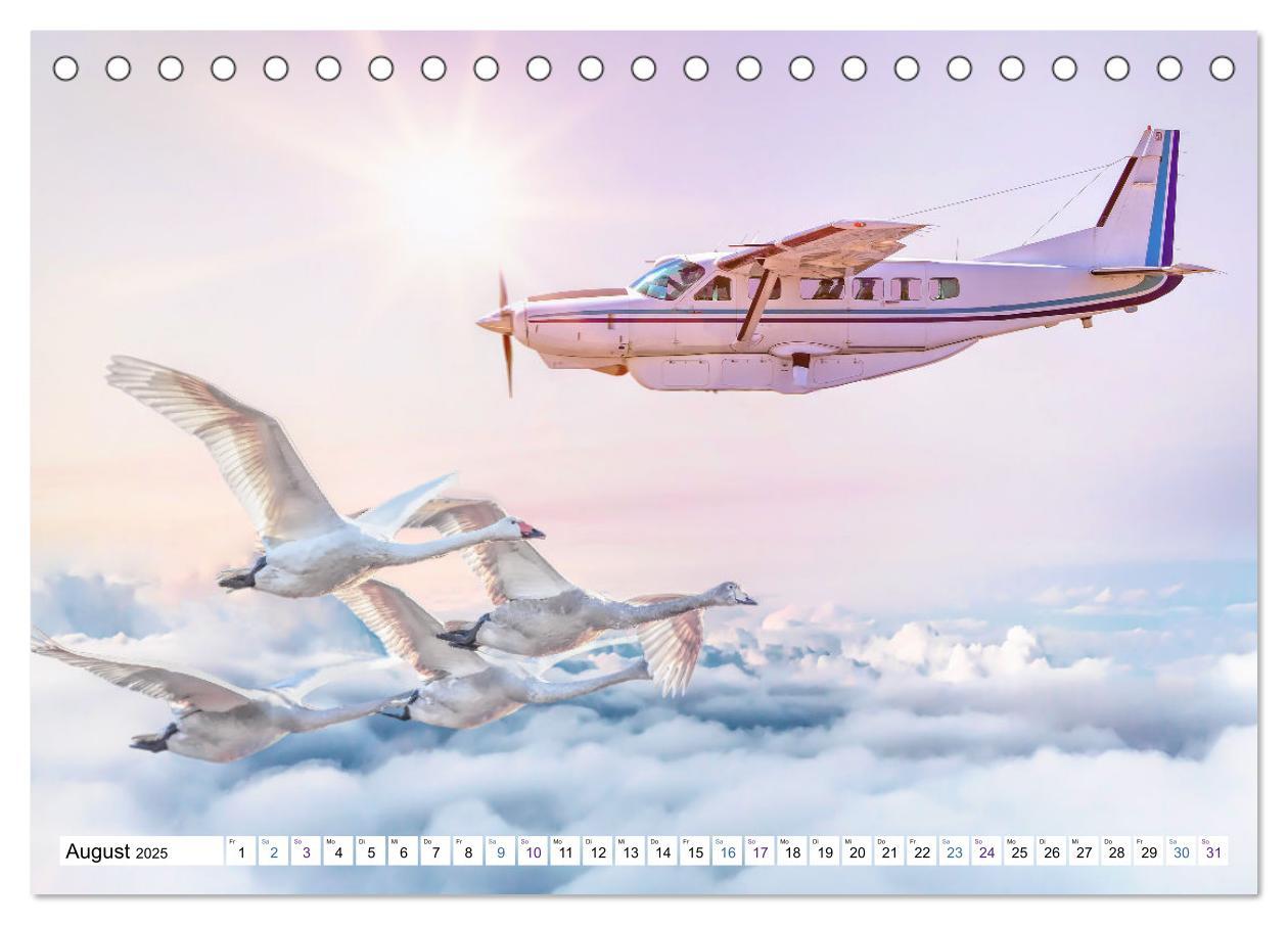 Bild: 9783435067398 | Fliegen, Fliegen - humorvolle Montagen (Tischkalender 2025 DIN A5...