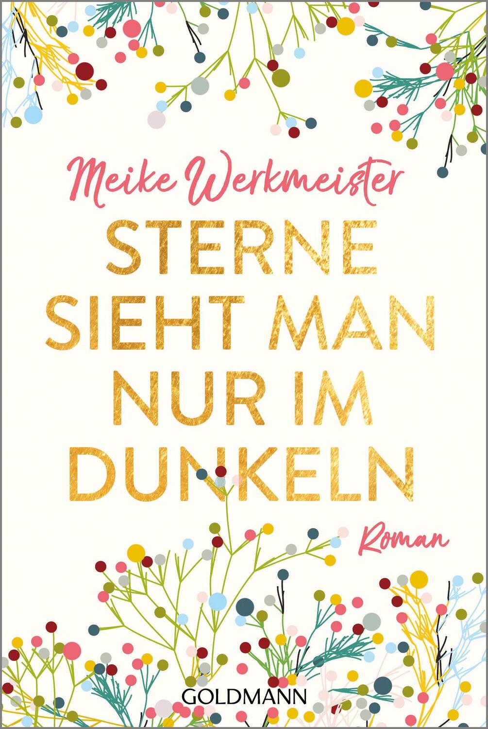 Bild: 9783442487875 | Sterne sieht man nur im Dunkeln | Roman | Meike Werkmeister | Buch