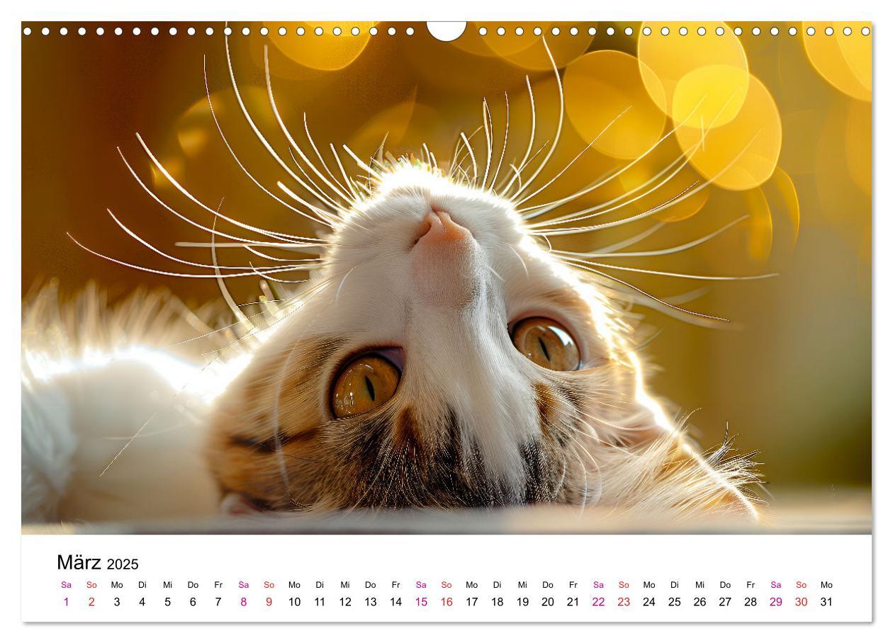 Bild: 9783457218280 | Katzenzauber - Samtpfoten im Jahreslauf (Wandkalender 2025 DIN A3...