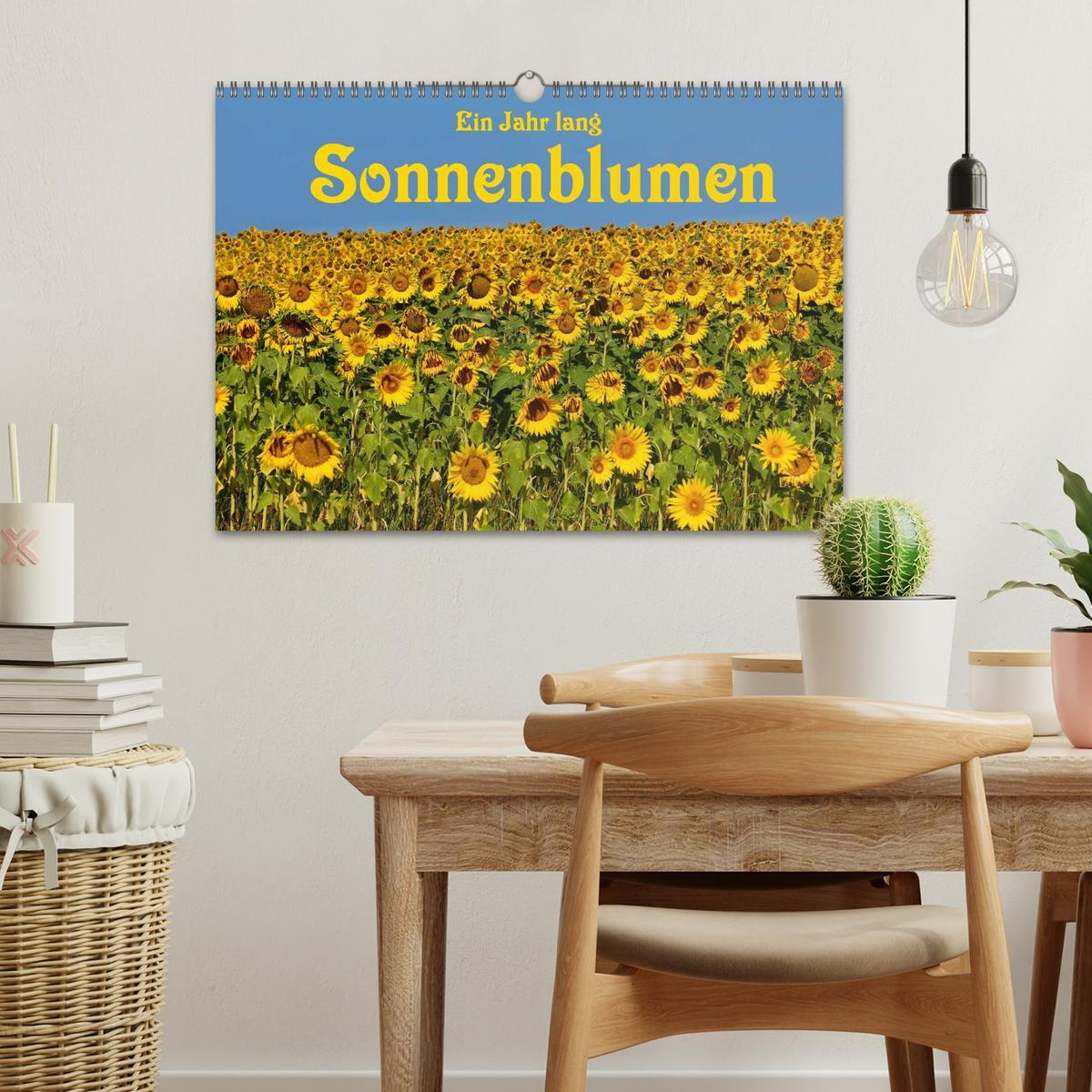 Bild: 9783435476770 | Ein Jahr lang Sonnenblumen (Wandkalender 2025 DIN A3 quer),...