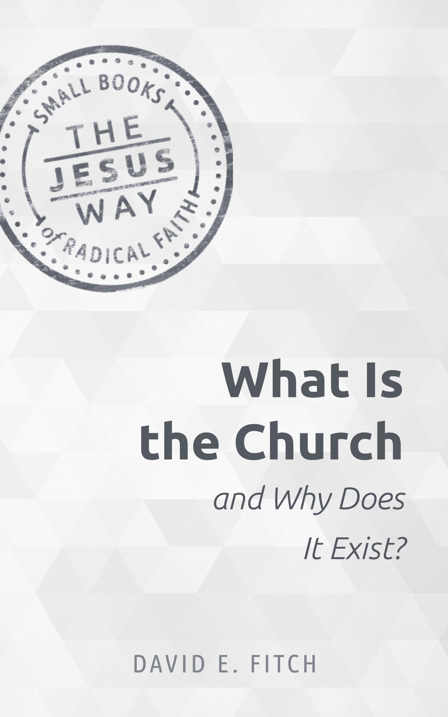 Cover: 9781513805702 | What Is the Church and Why Does It Exist? | David Fitch | Taschenbuch