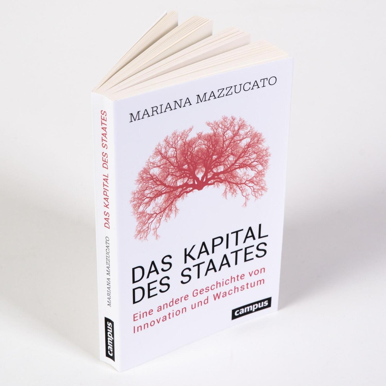 Bild: 9783593516875 | Das Kapital des Staates | Mariana Mazzucato | Taschenbuch | 304 S.