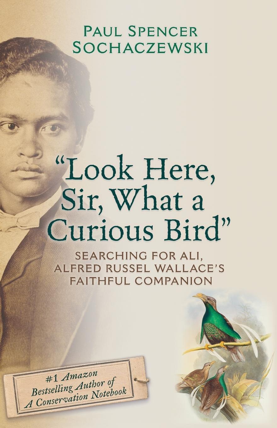 Cover: 9782940573417 | "Look Here, Sir, What a Curious Bird" | Paul Spencer Sochaczewski