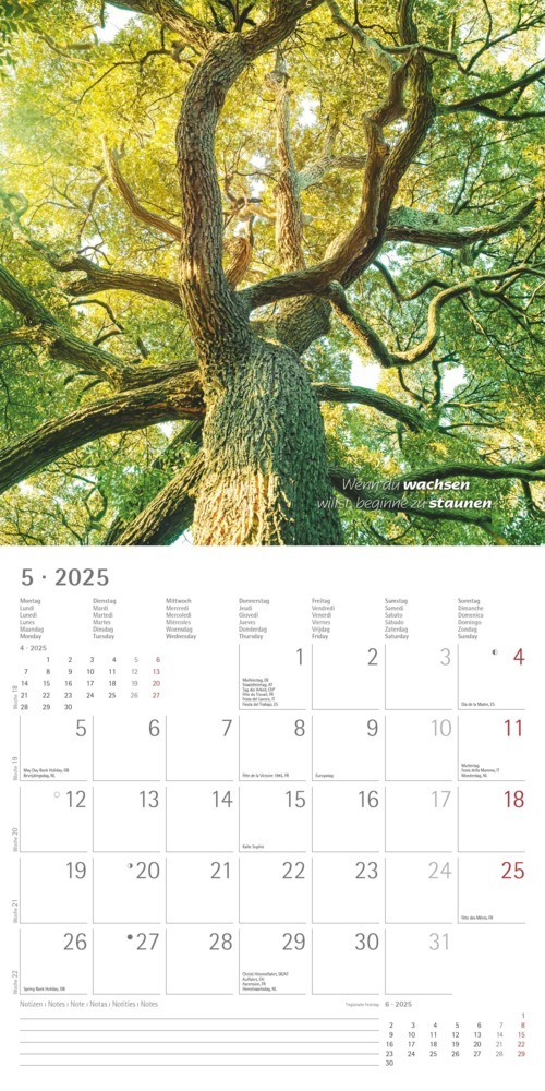 Bild: 4251732340858 | Alpha Edition - Zen 2025 Broschürenkalender, 30x30cm, Wandkalender...