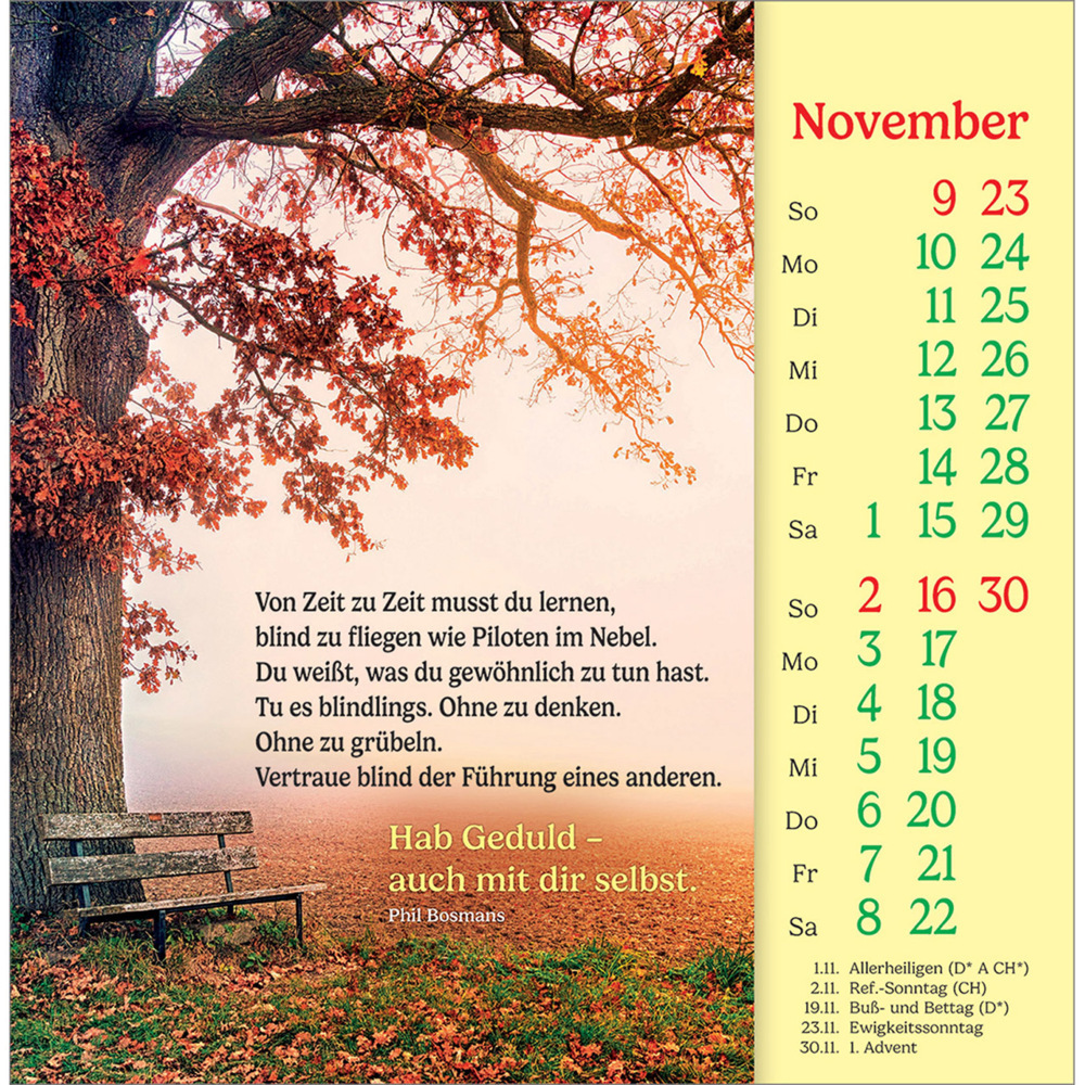 Bild: 9783754838051 | Phil Bosmans Postkartenkalender 2025 | Phil Bosmans | Kalender | 13 S.