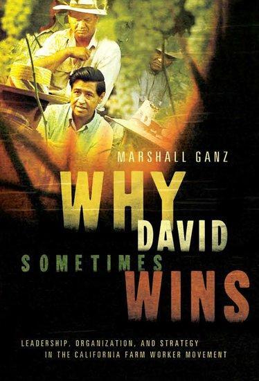 Cover: 9780195162011 | Why David Sometimes Wins | Marshall Ganz | Buch | Gebunden | Englisch