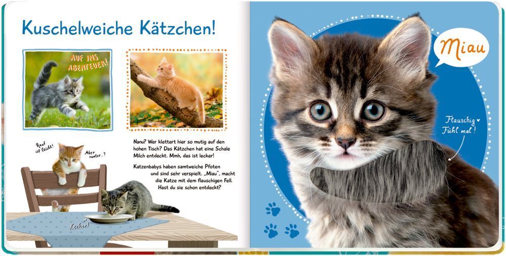 Bild: 9783649638636 | Fühl mal hier, kennst du das Tier? So viele Tierkinder | Buch | 10 S.