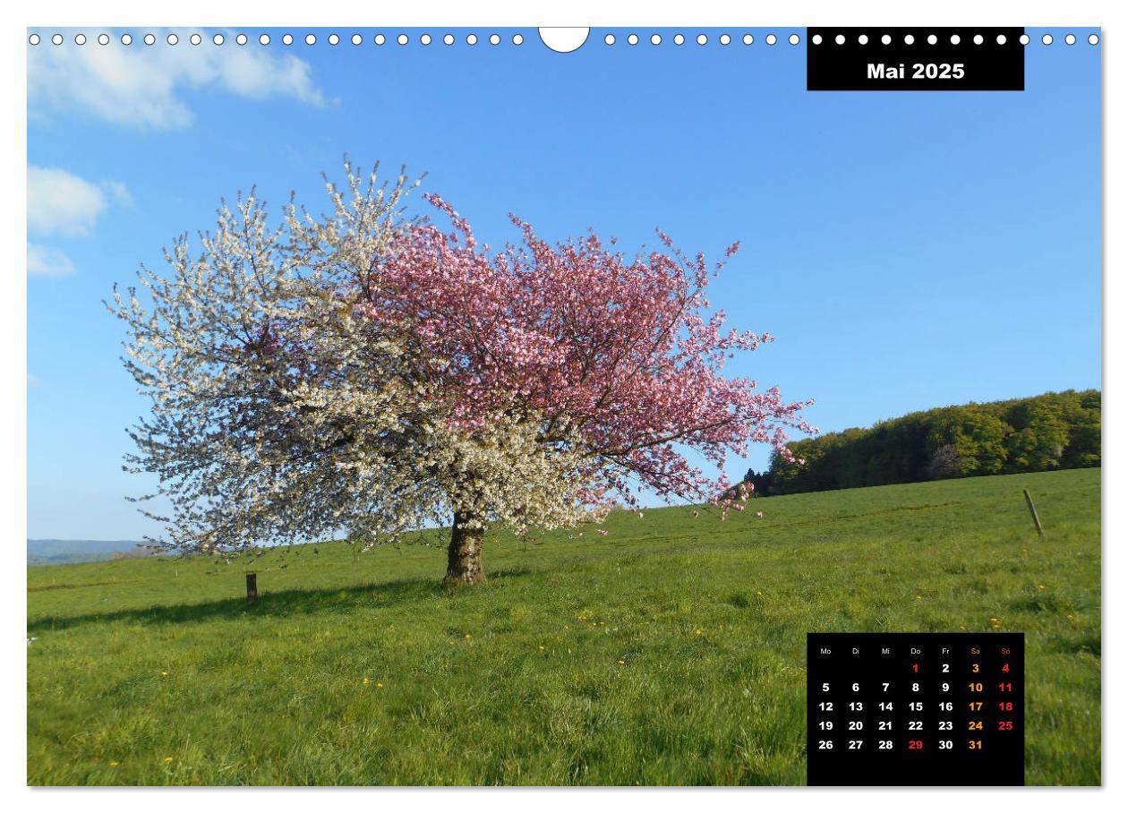 Bild: 9783435790302 | Odenwald Emotionen (Wandkalender 2025 DIN A3 quer), CALVENDO...