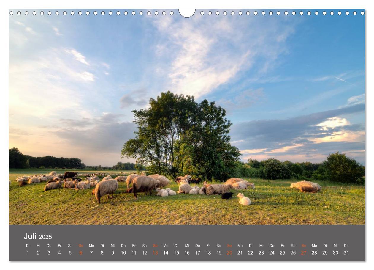 Bild: 9783435632541 | Leipzig - Parks und Landschaften (Wandkalender 2025 DIN A3 quer),...