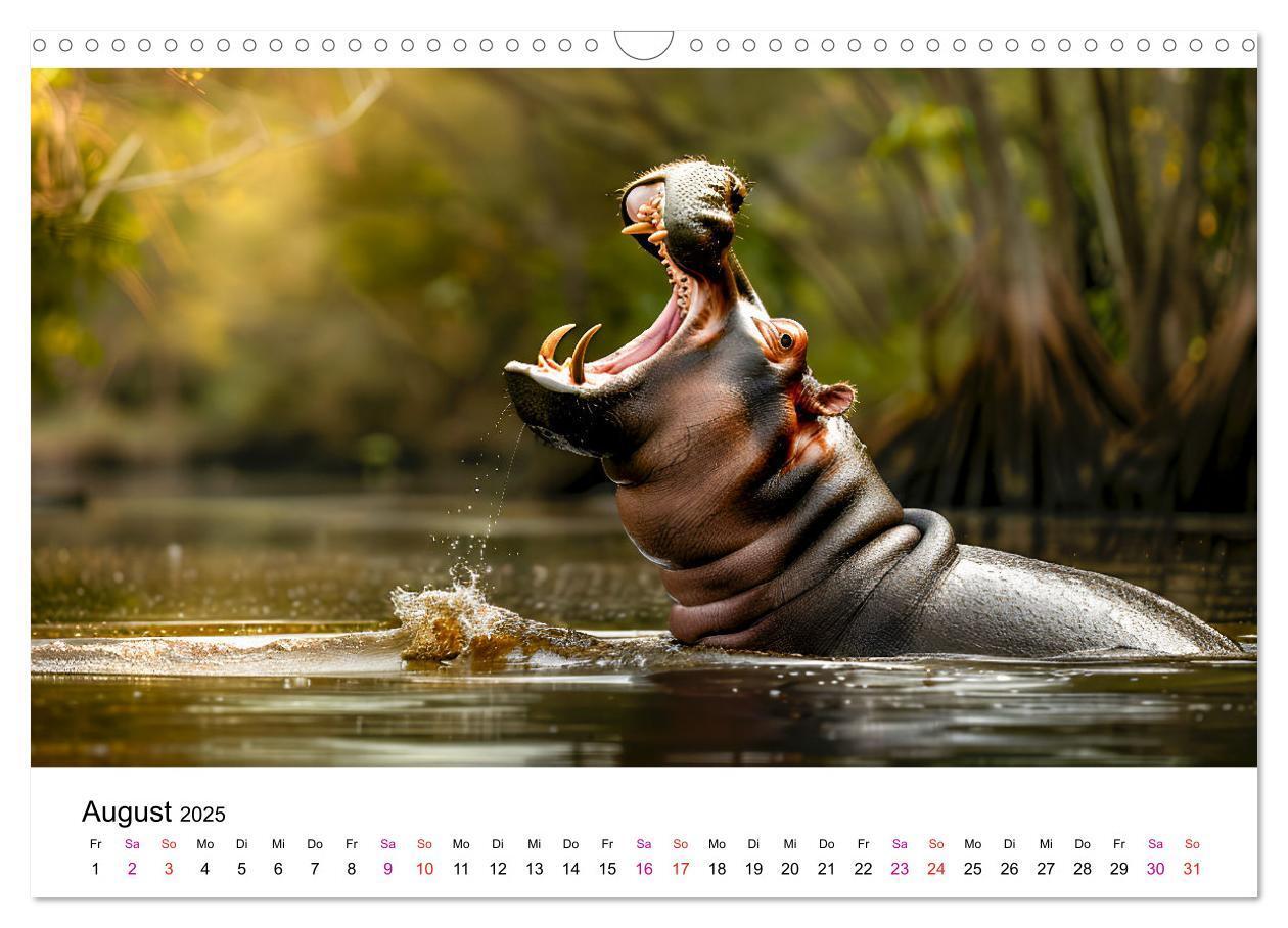 Bild: 9783457171899 | Flusspferde - Hippopotamus amphibius (Wandkalender 2025 DIN A3...