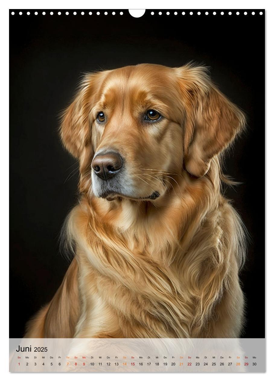 Bild: 9783435880799 | Golden Retriever - ein Hund für die Familie (Wandkalender 2025 DIN...