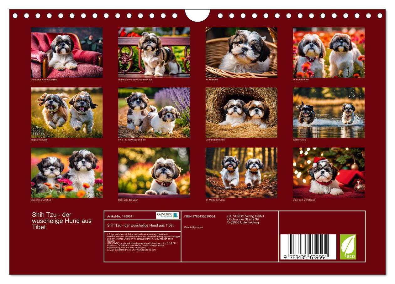 Bild: 9783435639564 | Shih Tzu - der wuschelige Hund aus Tibet (Wandkalender 2025 DIN A4...