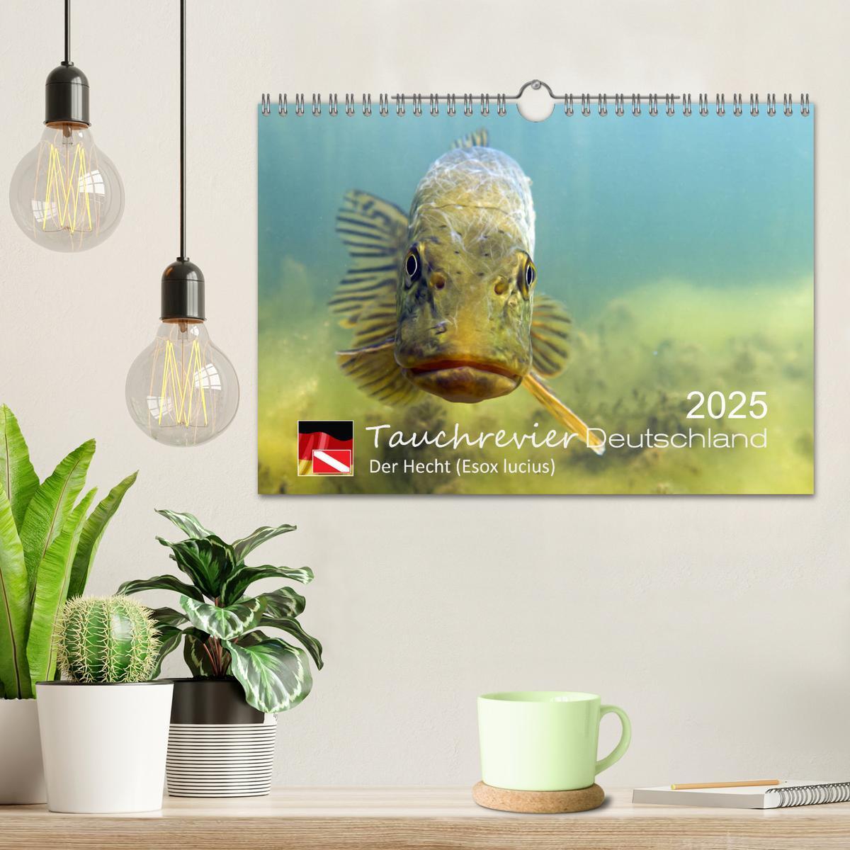 Bild: 9783435426034 | Tauchrevier Deutschland - Der Hecht (Esox lucius) (Wandkalender...