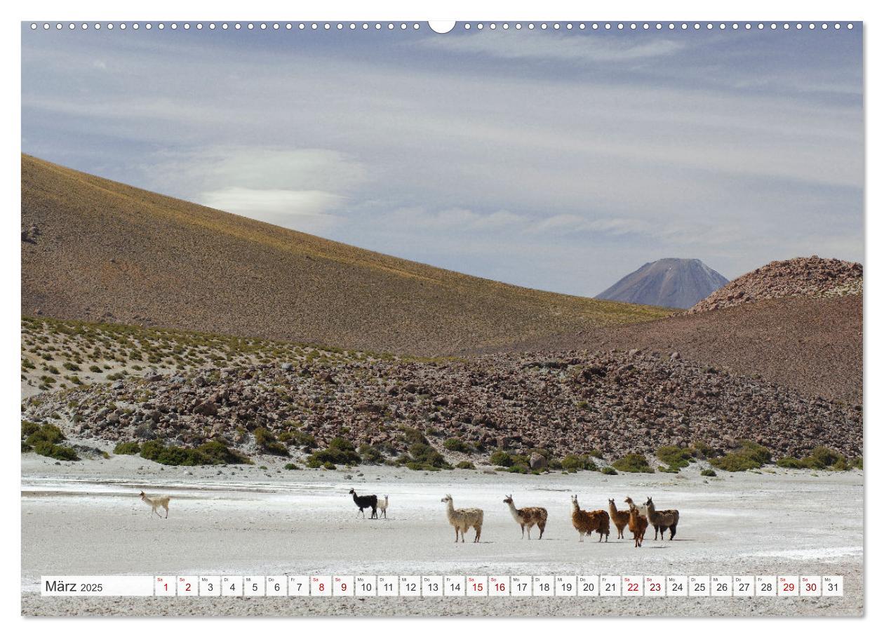 Bild: 9783457179680 | Magie dieses Südamerikanischen Landes, Chile (Wandkalender 2025 DIN...