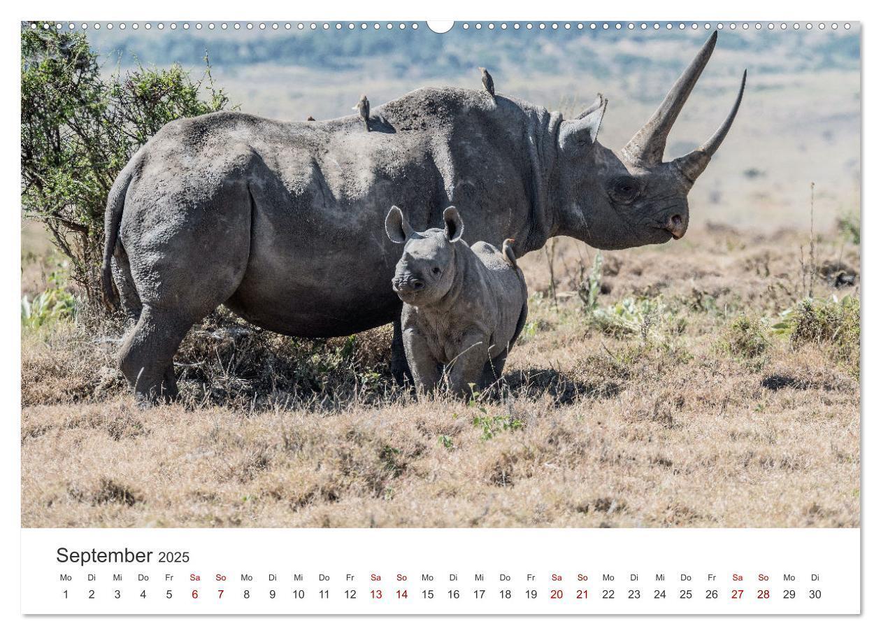 Bild: 9783435002313 | Kenia - Eine Safari durch unberührte Natur. (Wandkalender 2025 DIN...