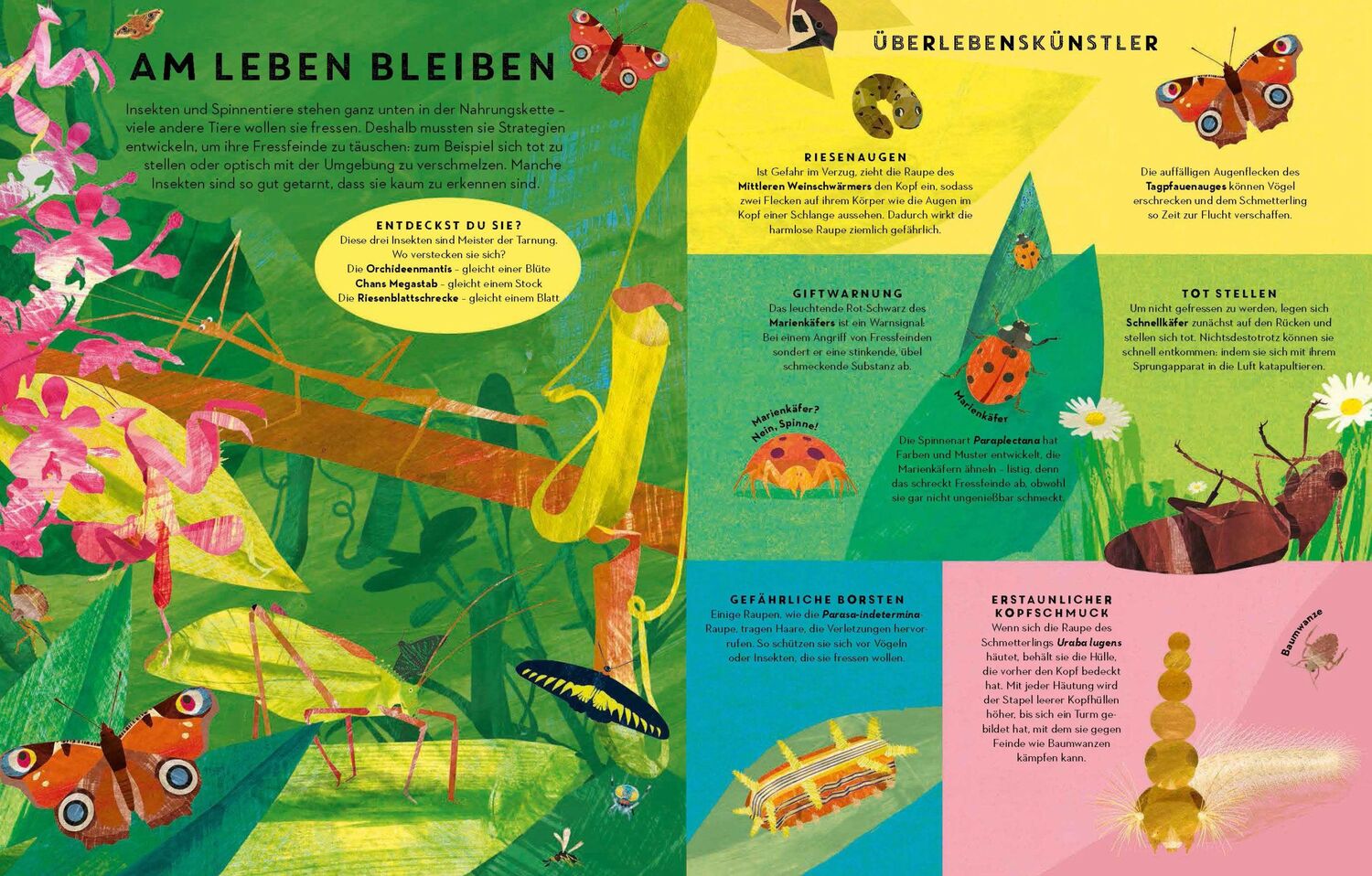 Bild: 9783791374390 | Sechs Beine oder mehr - Die Wunderwelt der Insekten | Buch | 48 S.