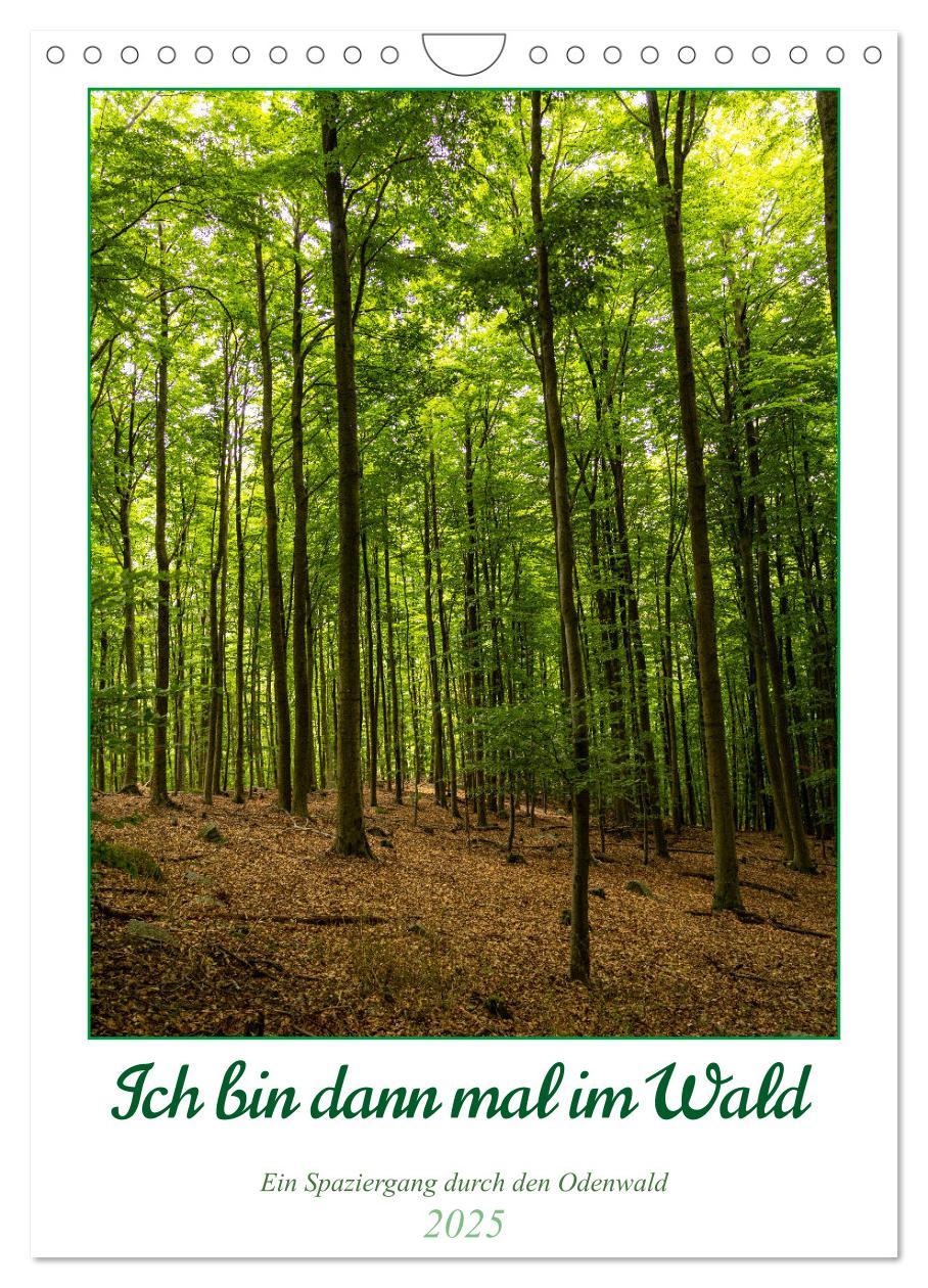 Cover: 9783435862481 | Ich bin dann mal im Wald (Wandkalender 2025 DIN A4 hoch), CALVENDO...