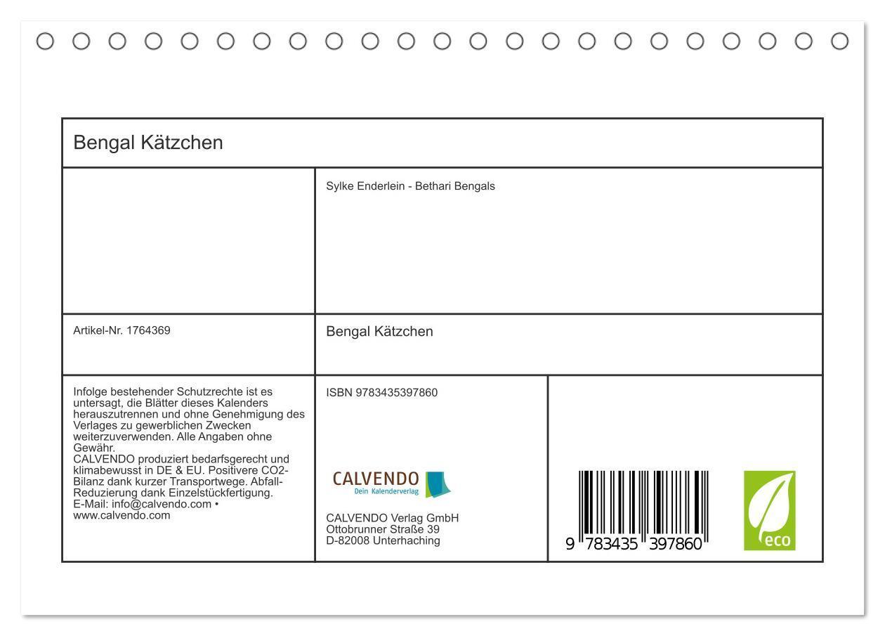 Bild: 9783435397860 | Bengal Kätzchen (Tischkalender 2025 DIN A5 quer), CALVENDO...