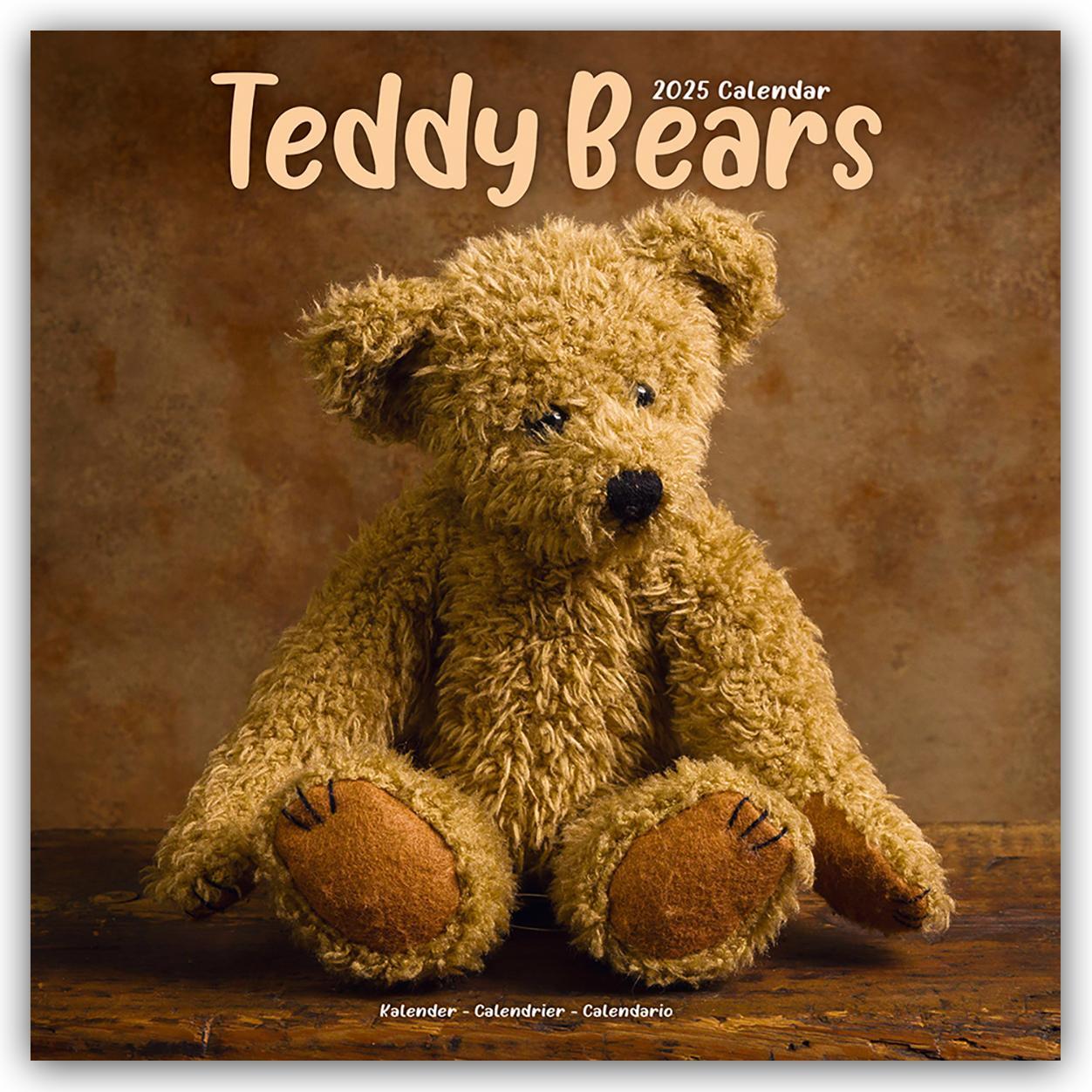 Cover: 9781804604915 | Teddy Bears - Teddybären 2025 -16-Monatskalender | Ltd | Kalender