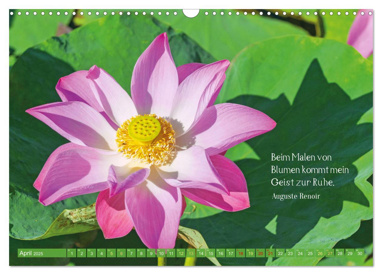 Bild: 9783383885198 | Natur-Meditationen - Nimm Dir Zeit (Wandkalender 2025 DIN A3 quer),...